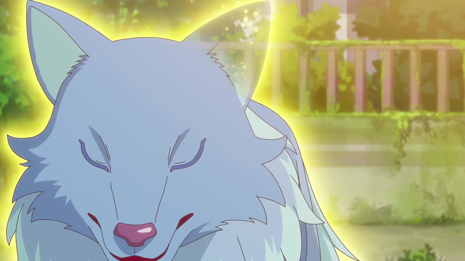 Wonderful Precure! — кадр із 50 серії